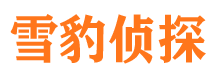 金平市侦探调查公司